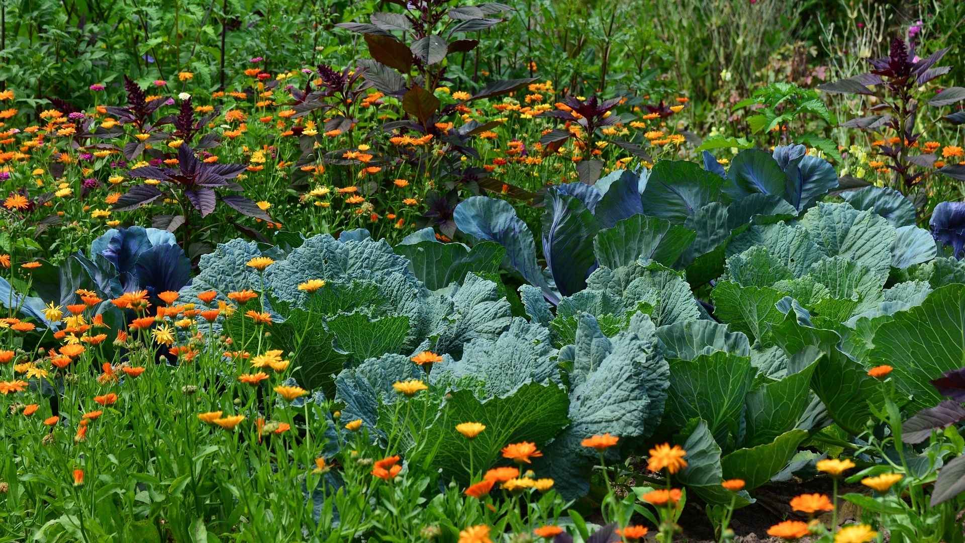 Proč byste měli dát šanci smíšeným kulturám
