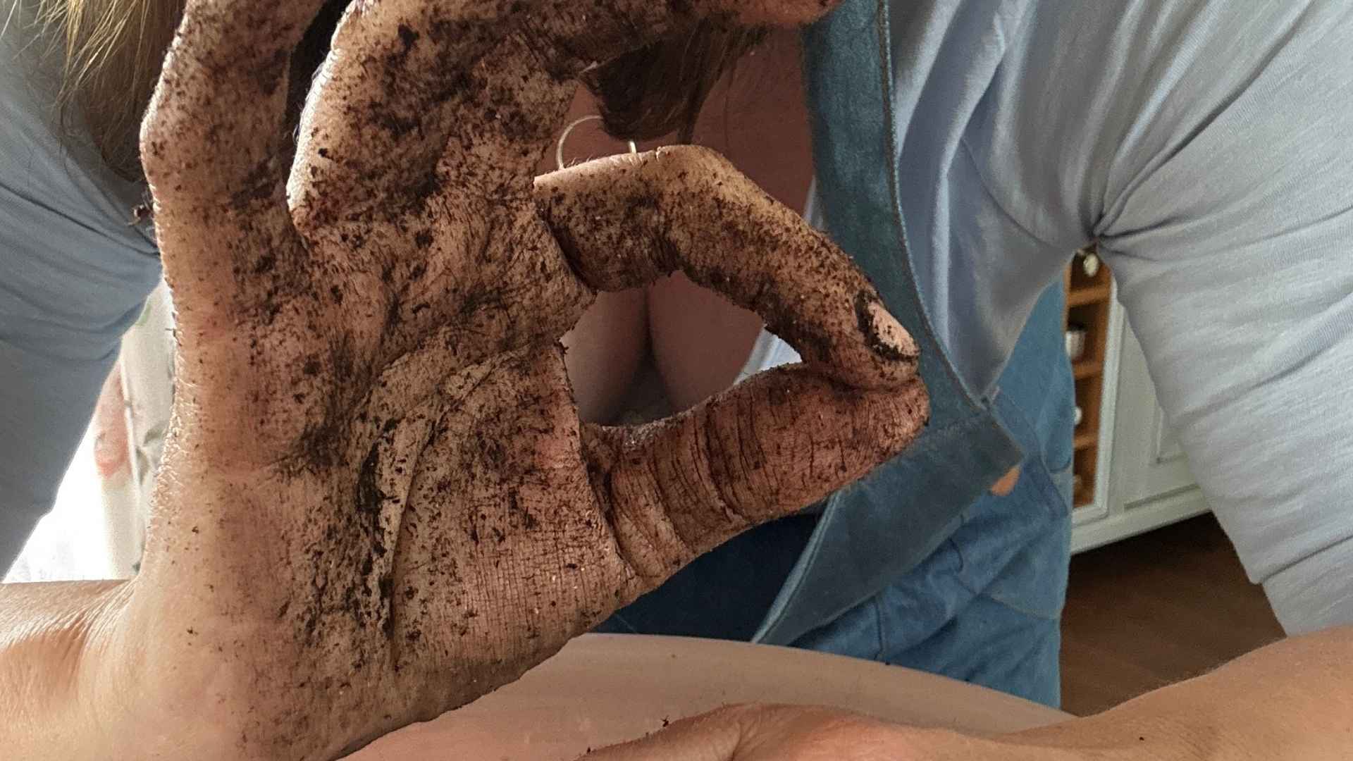 Správný čas pro výsev letniček: Vysejte si druhy, které milujete a zároveň ušetřete