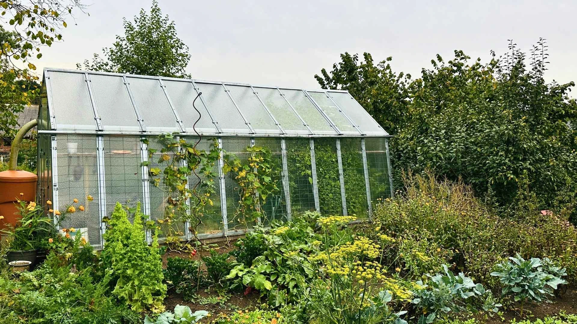 Vyplatí se v dnešní době skleník? Máme 5 důvodů, proč si ho rozhodně pořídit