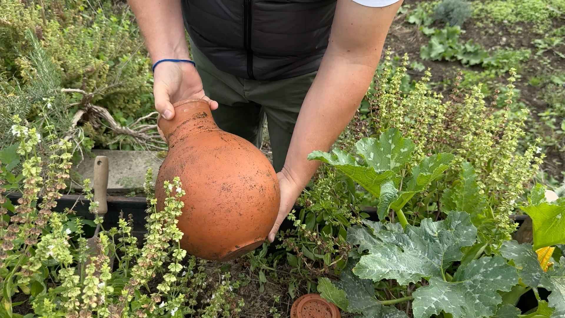 Návod na zazimování zavlažovací olly krok za krokem: Pozor, ať o ni nepřijdete