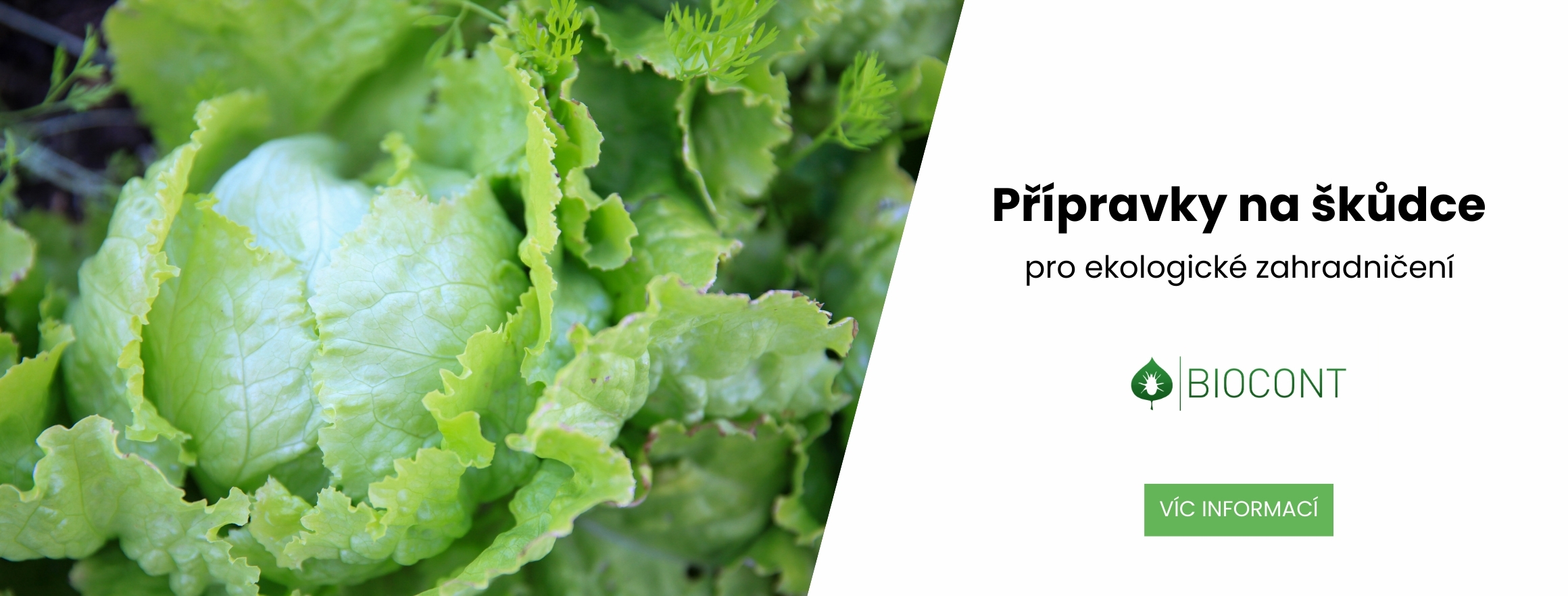 Ochrana rostlin před škůdci