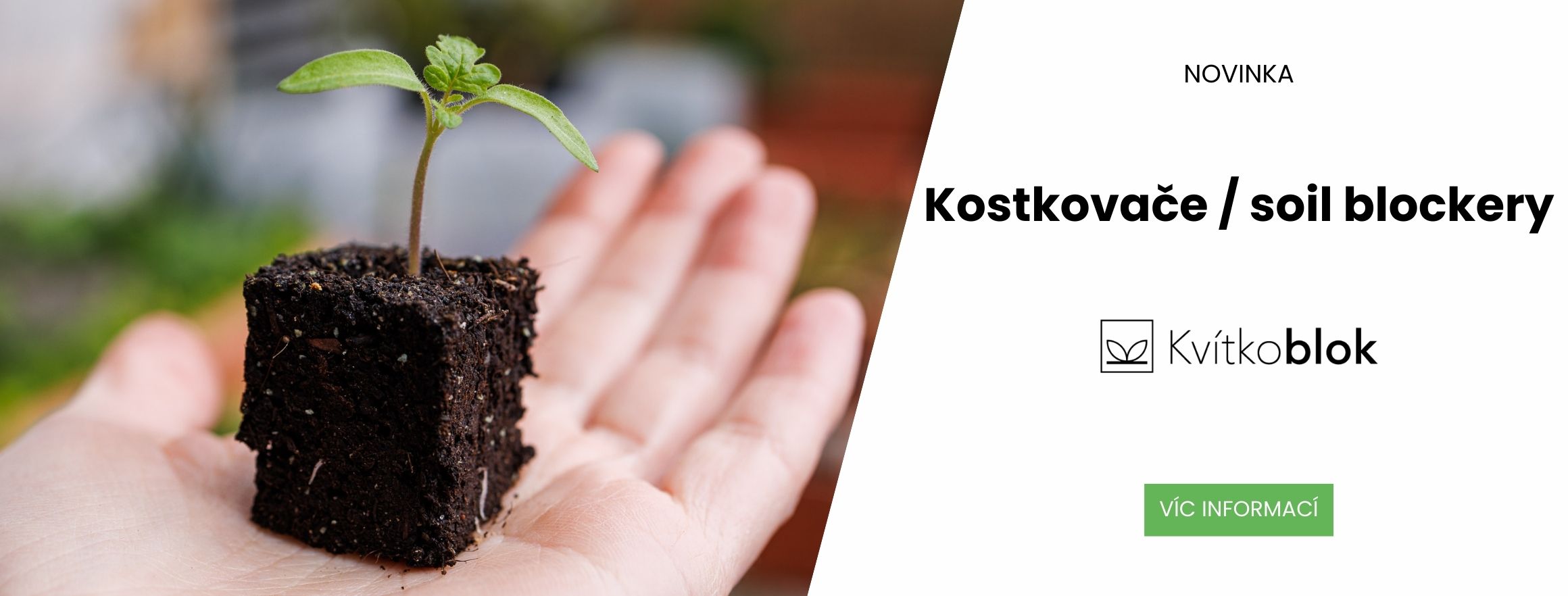 Kostkovače od Kvítkobloku