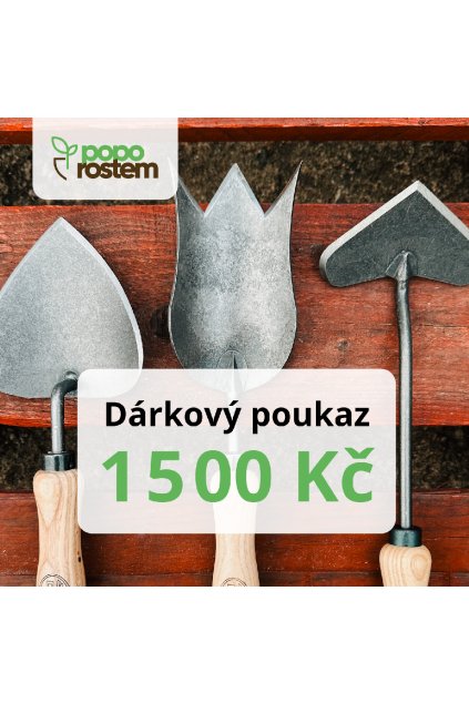 voucher 1500