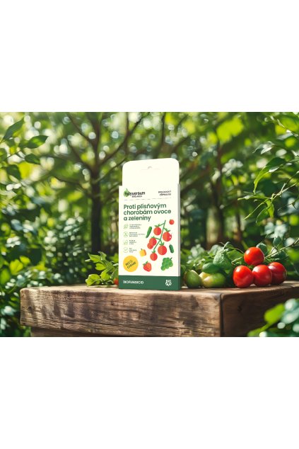 Untitled 20image Pacdora 2