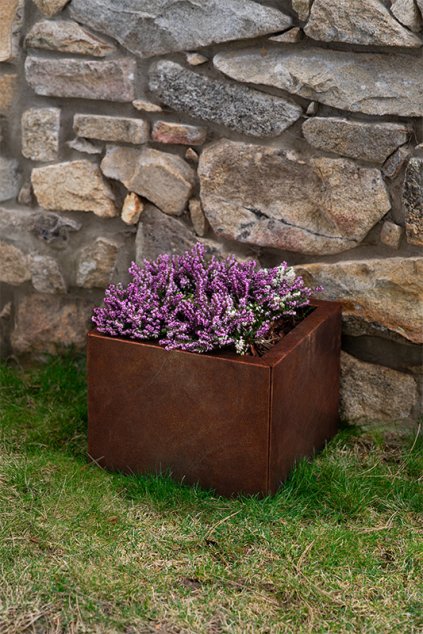 54 3 web sm u dsc01880 kopie