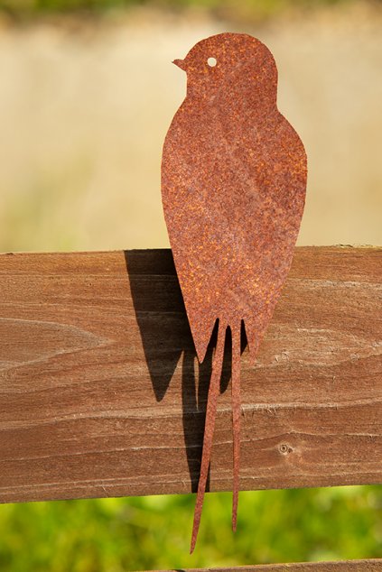 102 2 web c u dsc04439 edit