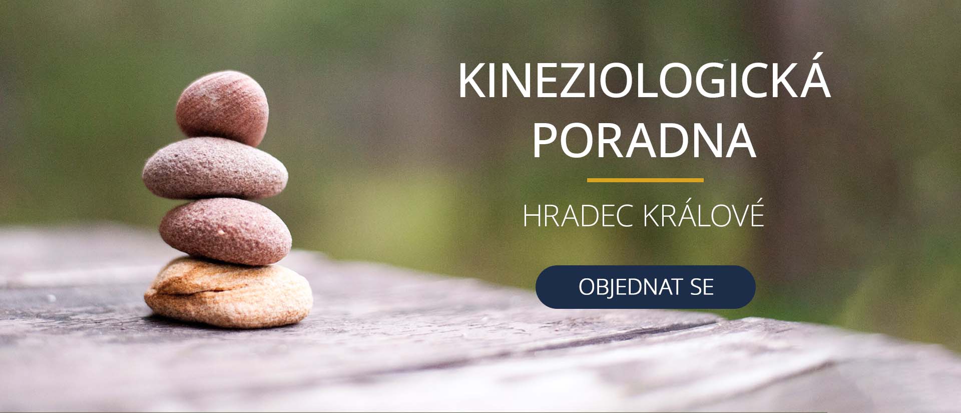 Kineziologická poradna