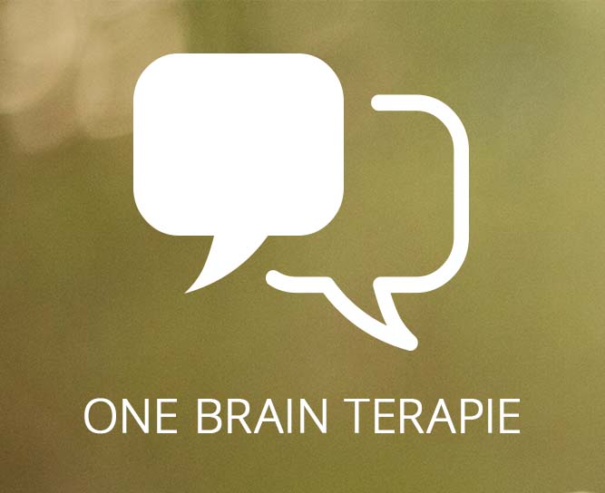One Brain terapie