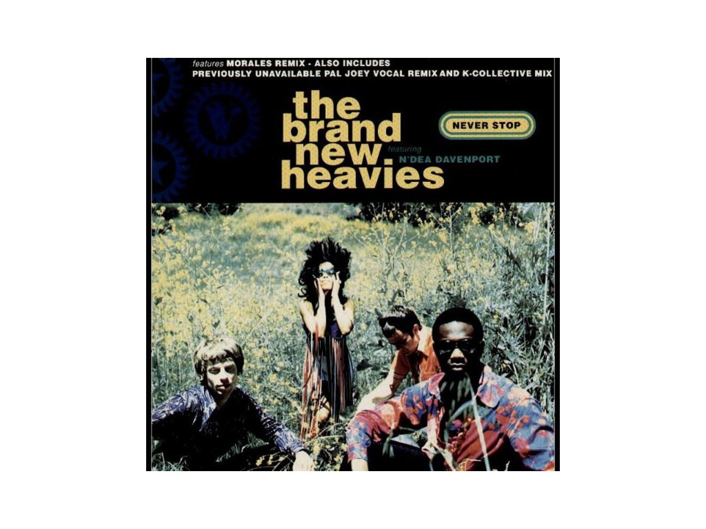 登場! the brand new heavies dream on dreamer名曲