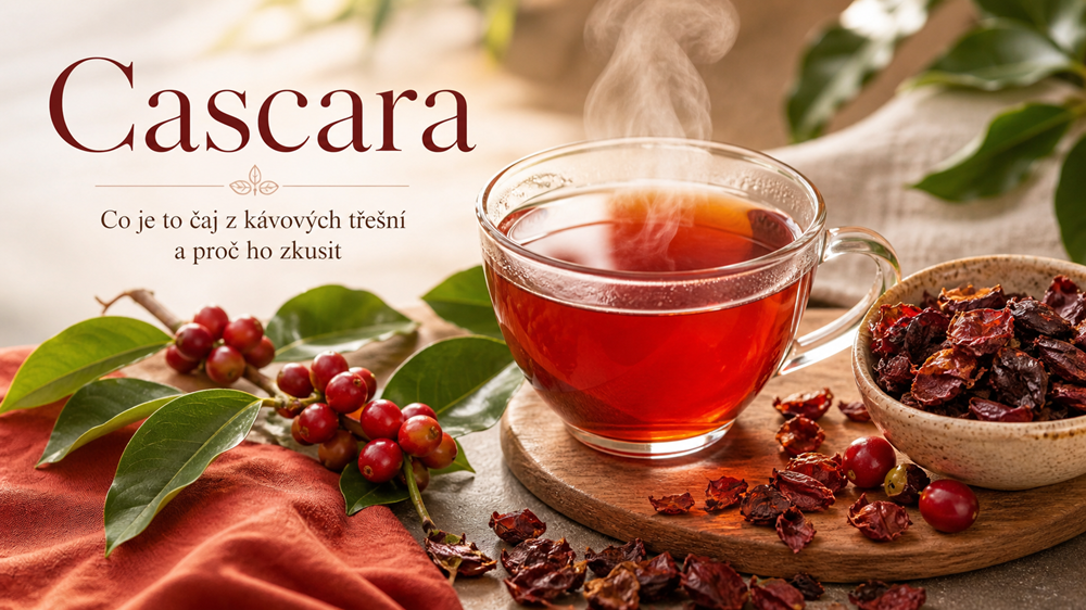 Cascara — co je to čaj z kávových třešní a proč ho zkusit