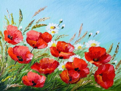 Obrazy na płótnie Obraz wilczego maku rysunek