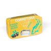 corretora olive
