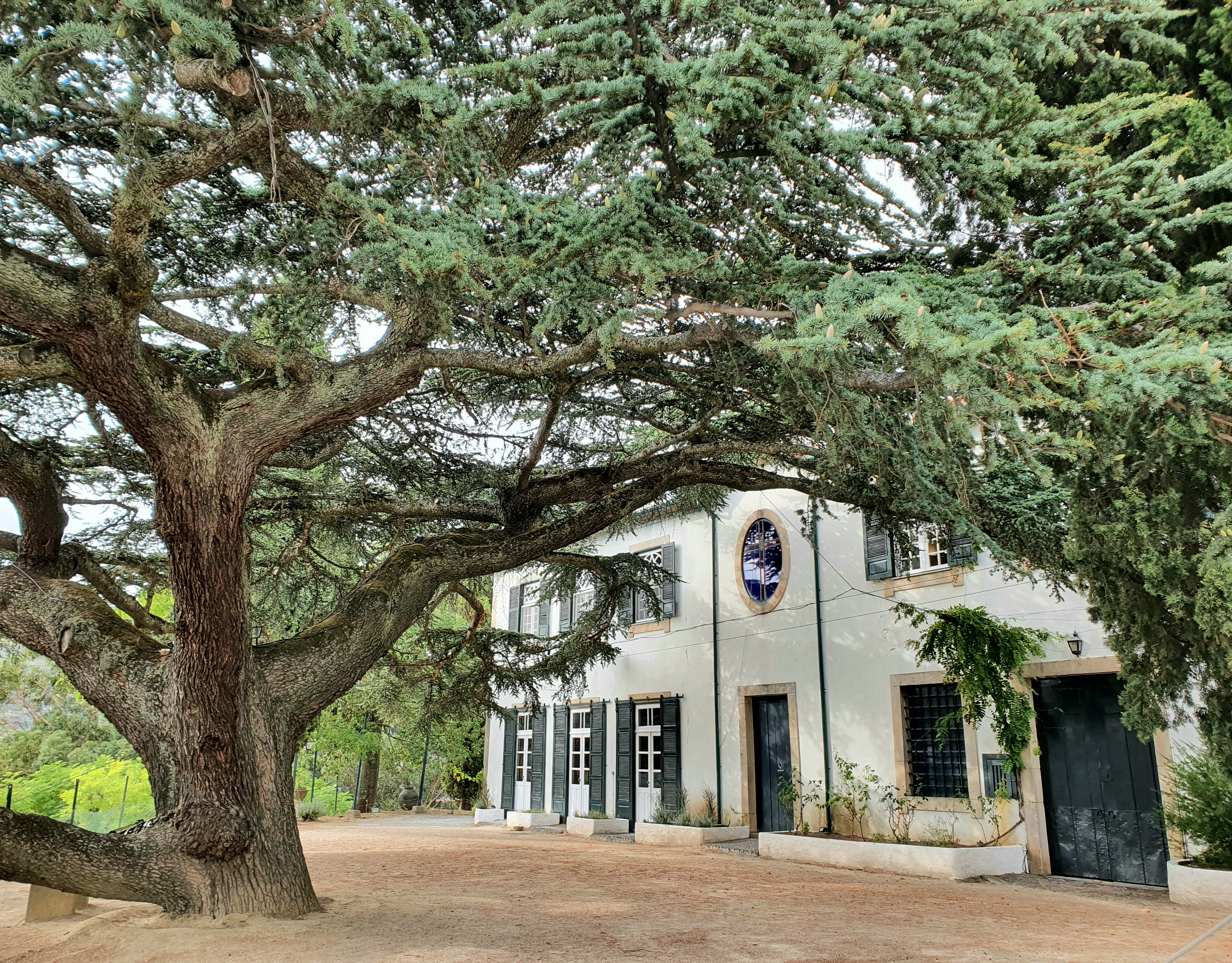 Quinta do Noval