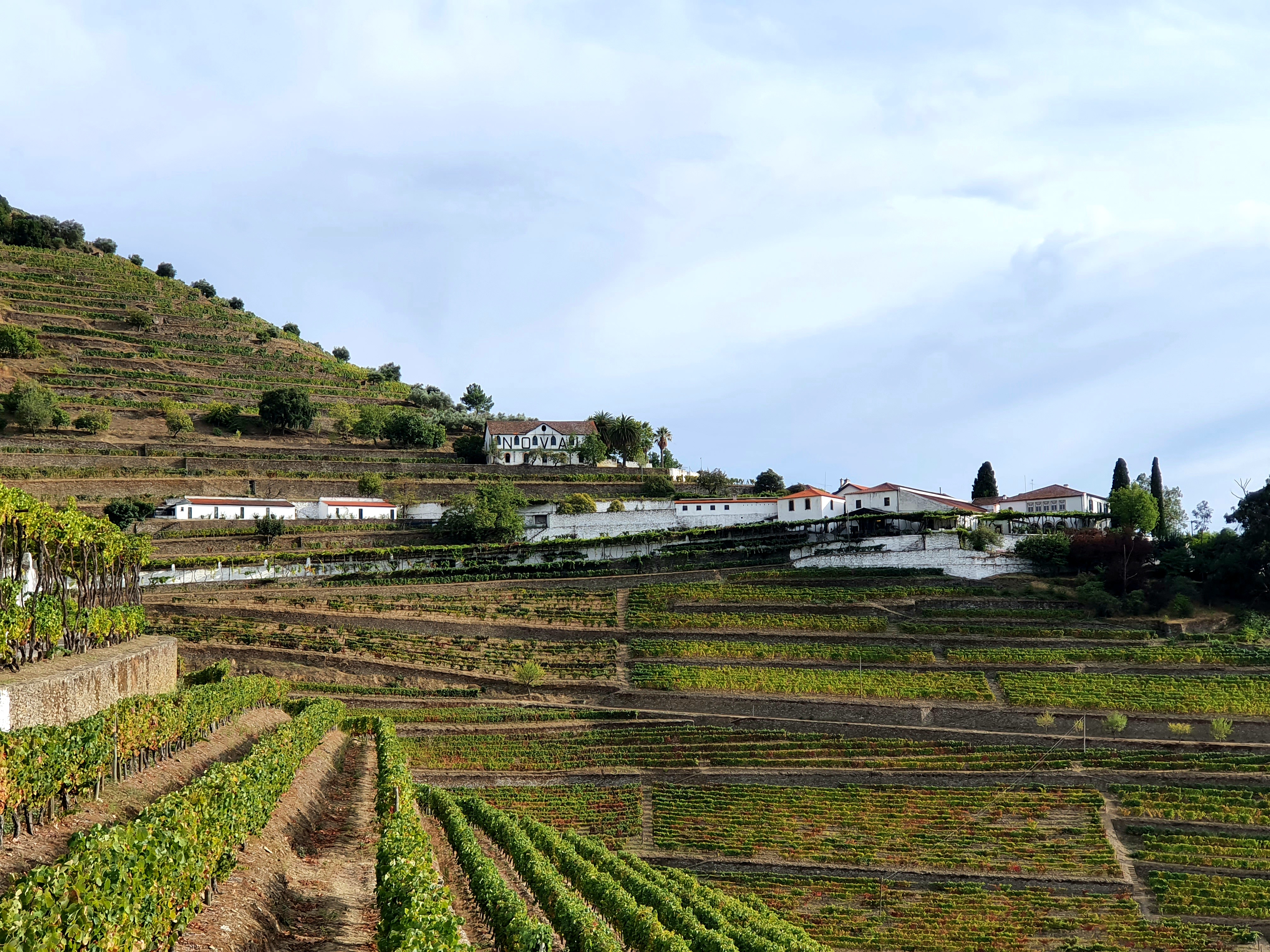 Quinta do Noval celkový pohled