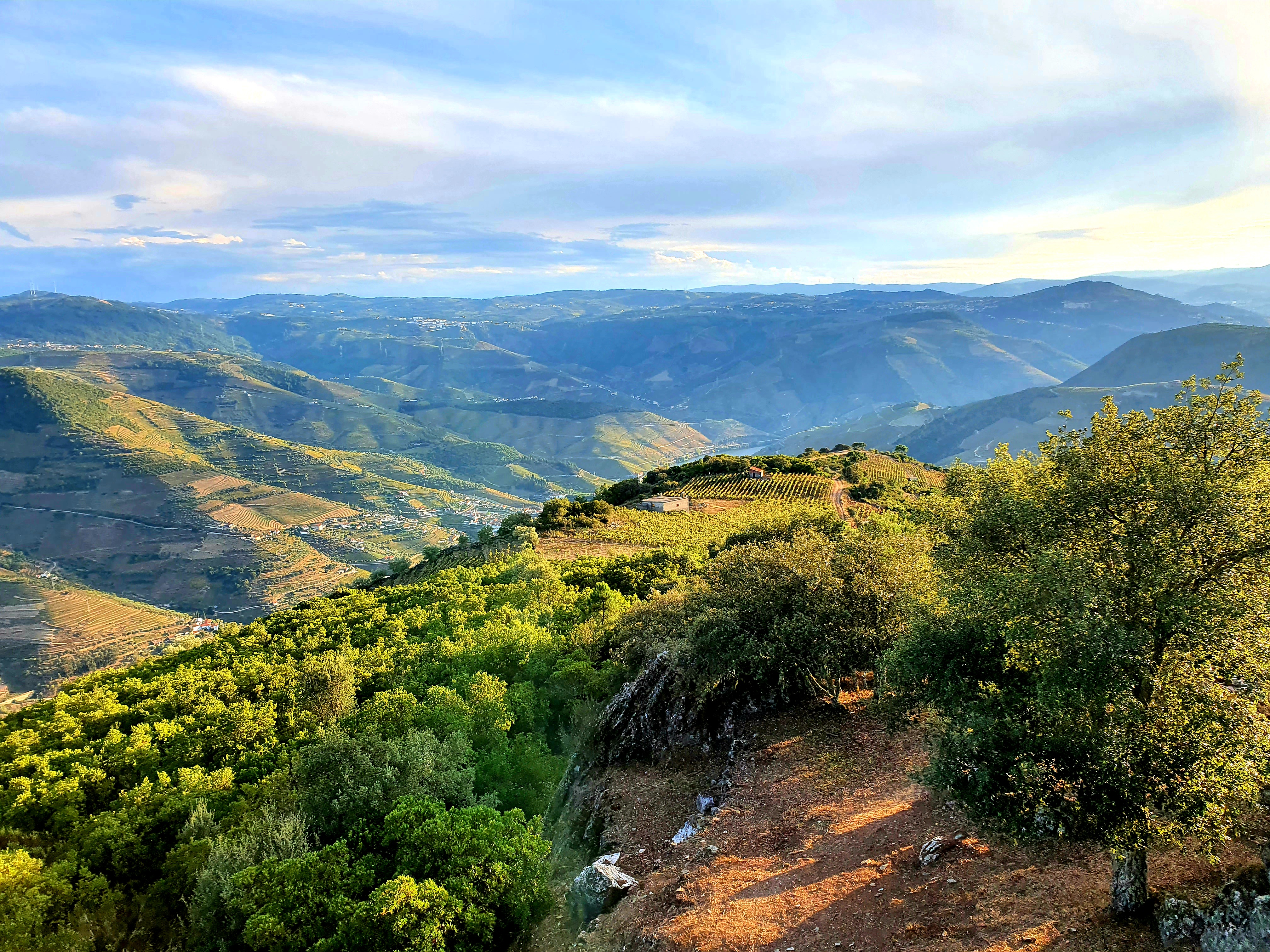 Krajina řeky Douro