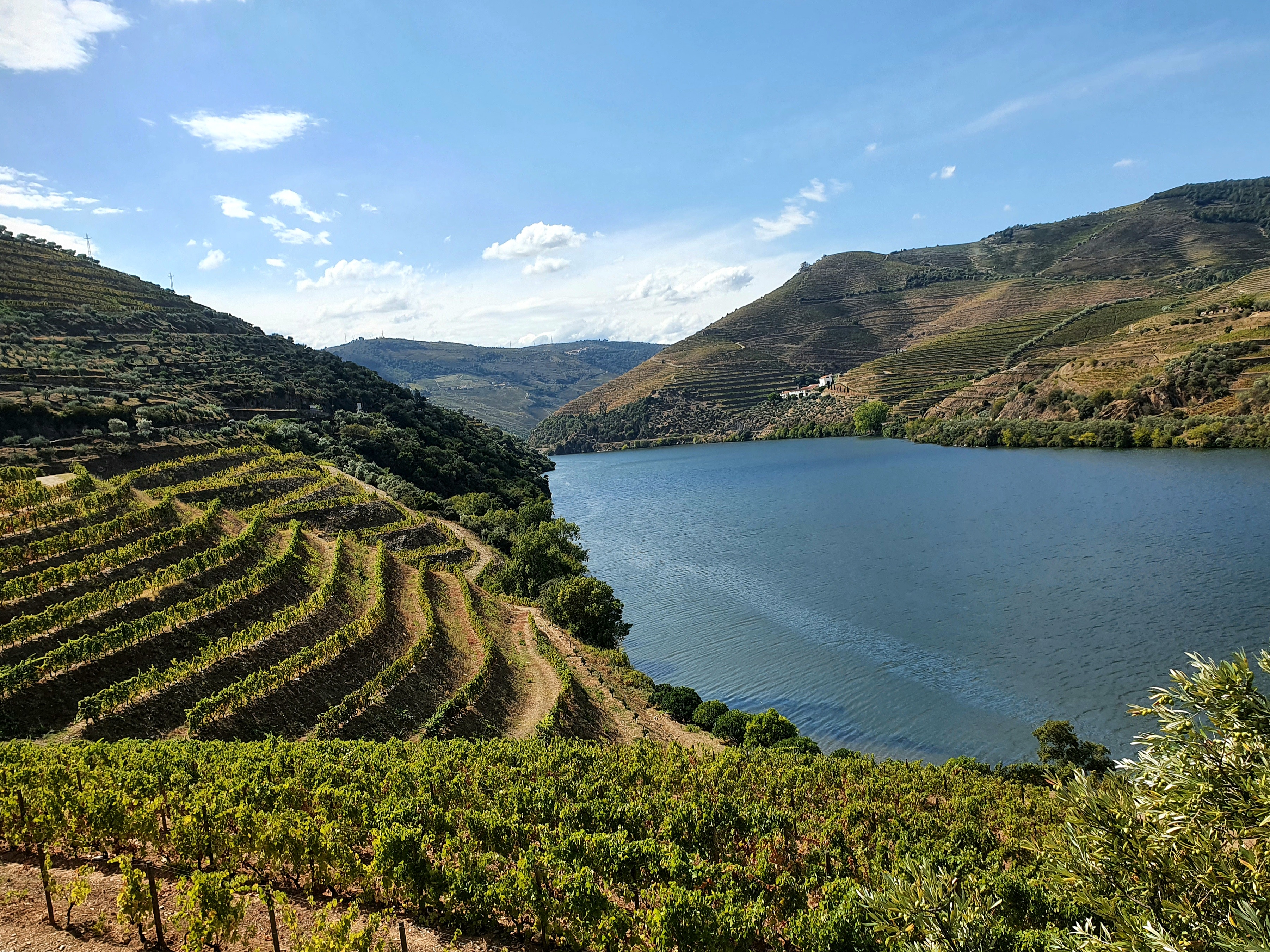 Krajina řeky Douro