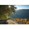 image moyen quinta do noval serge chapuis 2018 2