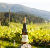 soa alvarinho 24 1