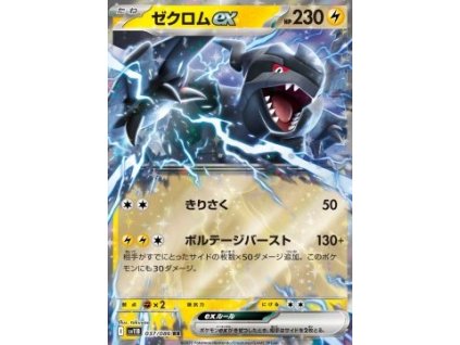 Zekrom 037