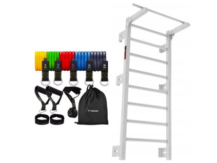 Žebřiny s hrazdou a posilovací gumy - Zider Profi šedá