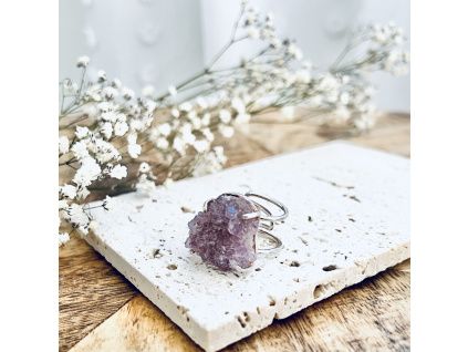 23210C1C AFBB 4FBF AA12 C85B3F7131AA 1 201 a