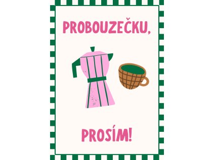 Probouzecka etiketa final