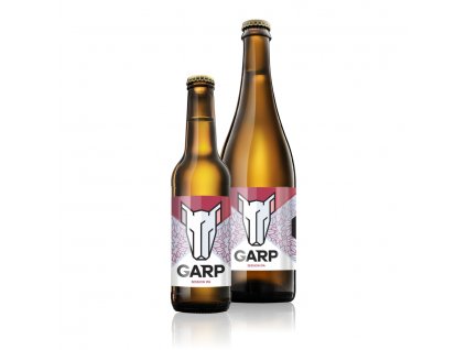 11° GARP 410 - Session IPA  Craft beer