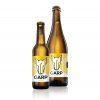 12° GARP 120 - Světlý ležák  Craft beer