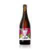 11° GARP 811 - Raspberry Sour  Craft beer