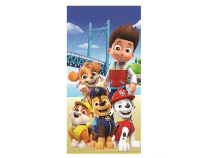 paw patrol 457