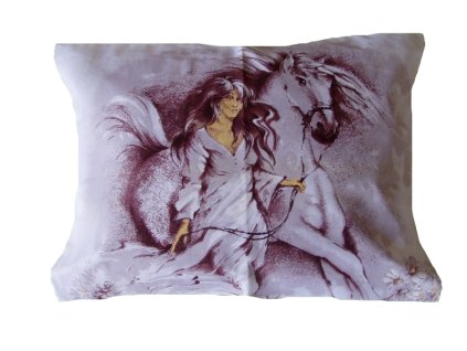 Povlak Jezdkyne web1