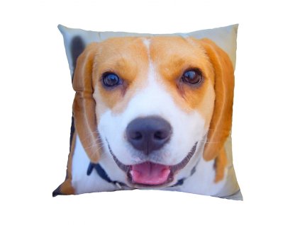 Fotopolstarek pro deti Bigl Dadka Vracov