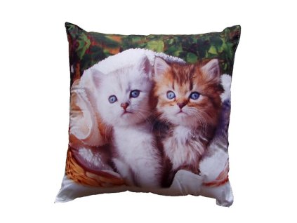 Fotopolstarek pro deti Bile a hnede kote Dadka Vracov