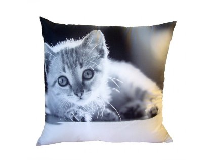 Fotopolstarek pro deti cernobile kote Dadka Vracov