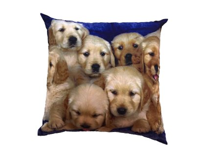 Fotopolstarek pro deti Hlavicky stenatek Dadka Vracov