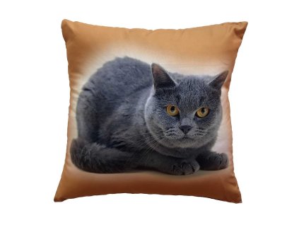 Fotopolstarek pro deti Kocka Dadka Vracov