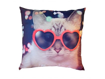 Fotopolstarek pro deti kocka v brylich Dadka Vracov