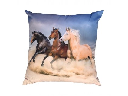 Fotopolstarek pro deti Kone na pousti Dadka Vracov