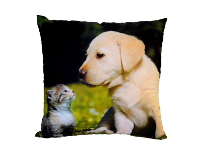 Fotopolstarek pro deti Kote a stene na trave Dadka Vracov