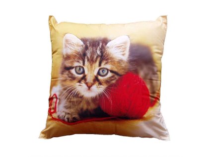 Fotopolstarek pro deti Kote s klubickem Dadka Vracov