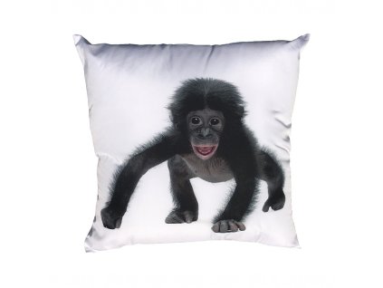 Fotopolstarek pro deti Opicak Dadka Vracov