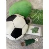 Polštářek fotbalový míč s píšťalkou o 30cm