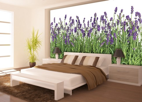 tapeta Provence