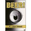 13778 plakat beer is your friend