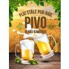 Plechová cedule: Pivo je můj kamarád - 30x40 cm