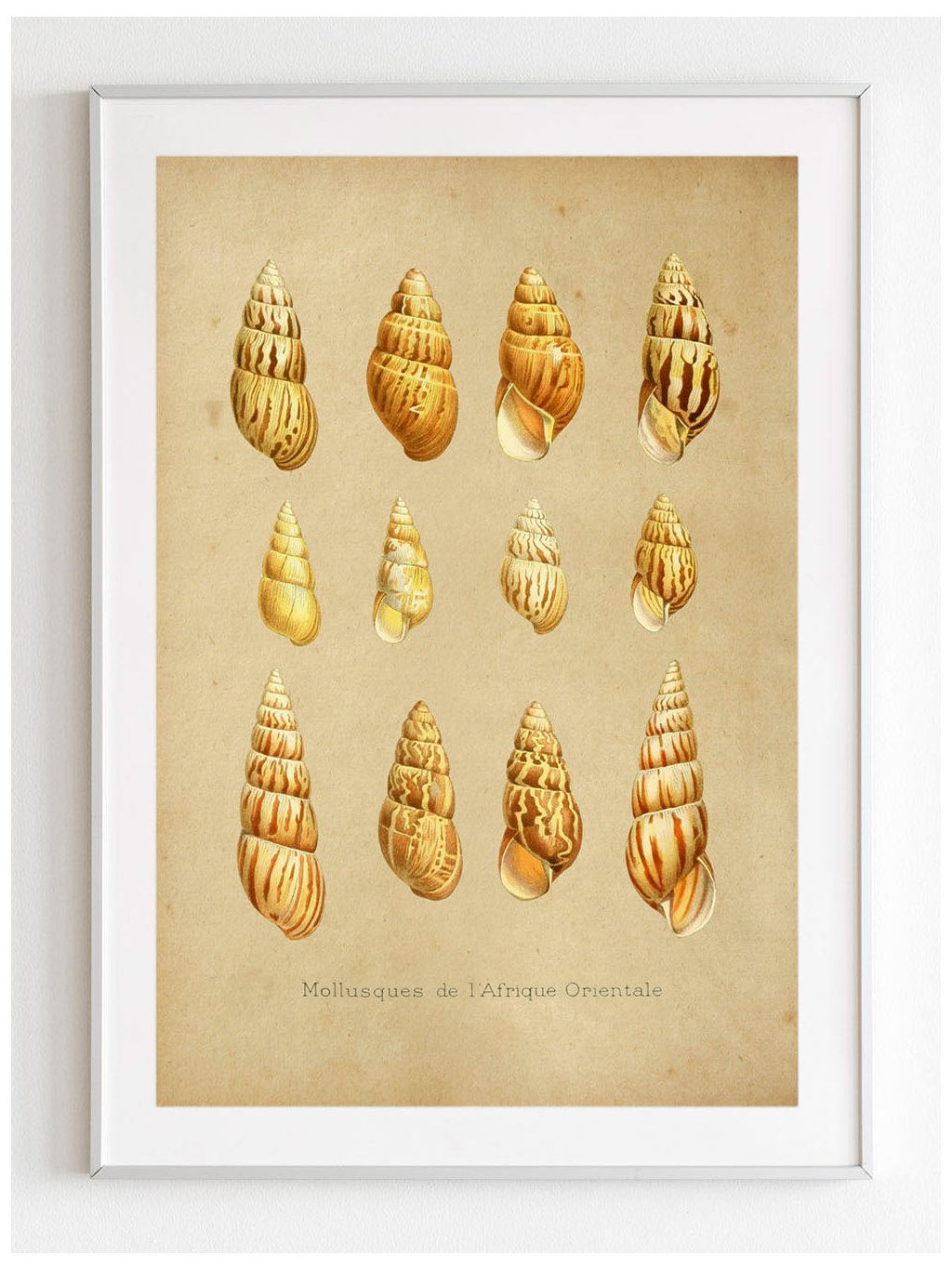 vintage-plakat-ulity