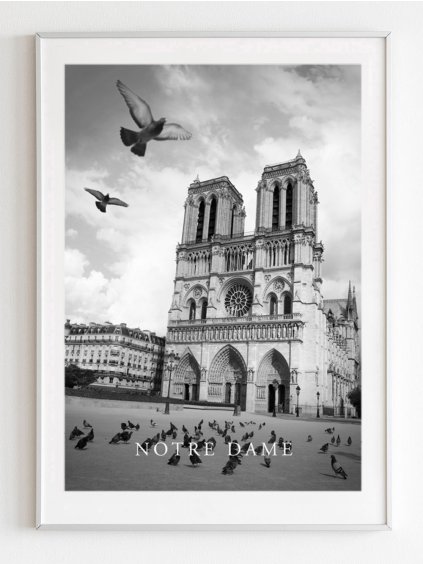 plakat-notre-dame