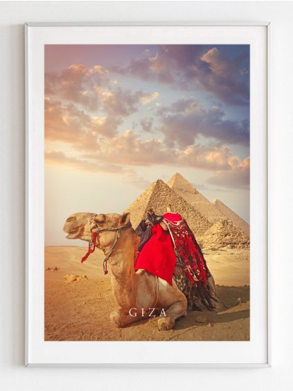plakat-pyramidy-giza