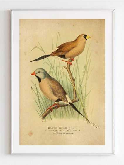 retro-plakat-penkavy