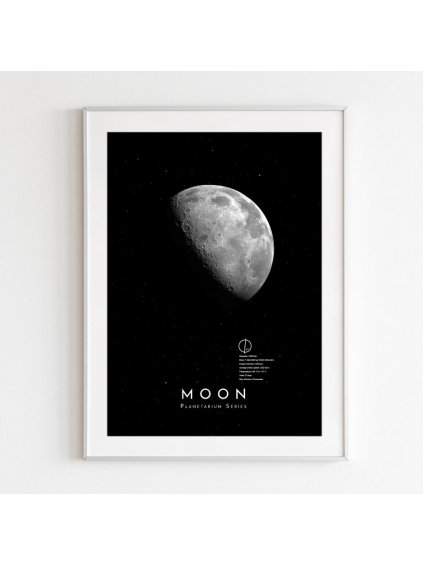 plakat-mesic
